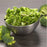 Nutristore Freeze Dried Broccoli in a stainless steel bowl