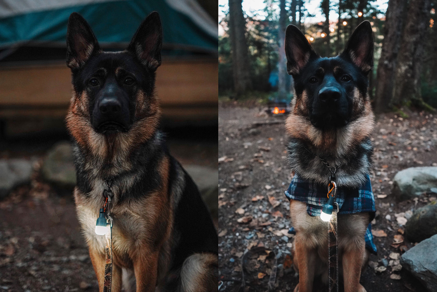 BioLite Site Lights illuminating multi purpose use