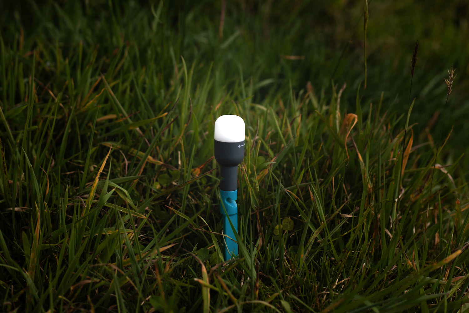 BioLite Site Lights illuminating a campsite with glowing bulbs