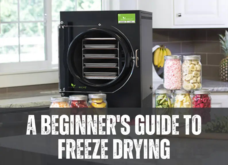 Freeze drying for beginners