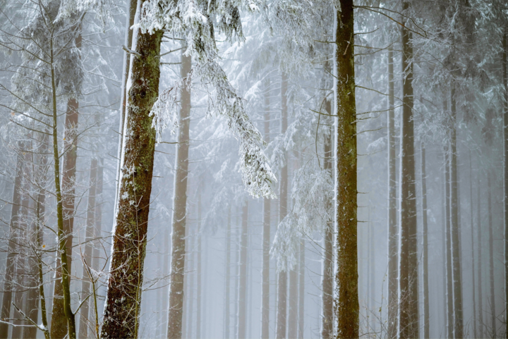 6 Skill Every New Preppers Should Know for Winter Survival