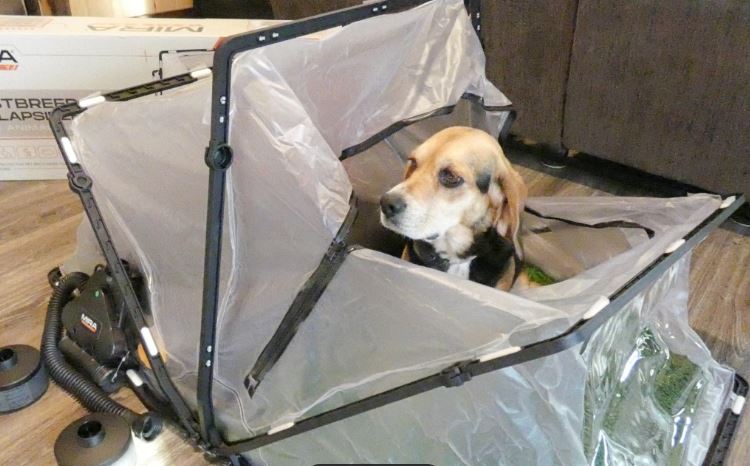 MIRA Safety CBRN Dog Gas Mask – Collapsible Pet Ark