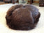 Beaver Fur Hat - All Fur