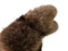 Men's - Raccoons Fur Mitts (Made in Canada)