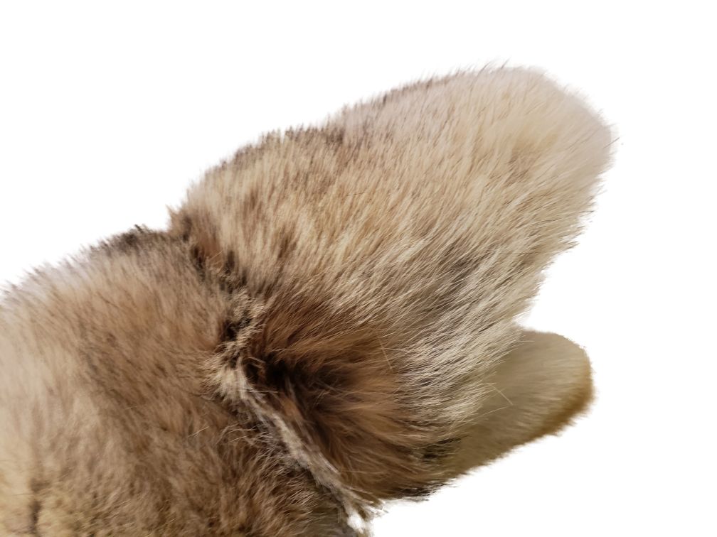 Women's Coyote Fur Mitts