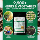 Limitless Growth 22 Vegetable & Herb Seed Varieties Pack | 9,500+ Seeds