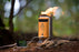 The BioLite CampStove 2 outside laid standing up on the ground outdoors with bundles of sticks surrounding it and charging a mobile device via white usb cable. On the campstove are lit up indicators of the different energy sources. 
