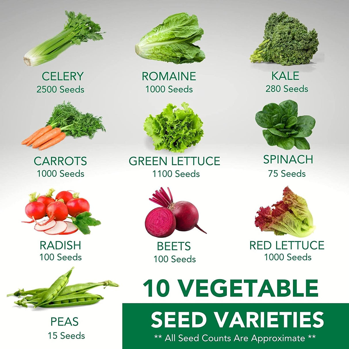 Limitless Growth 10 Vegetable Seed Varieties for Spring & Fall | 10,000+ Seeds