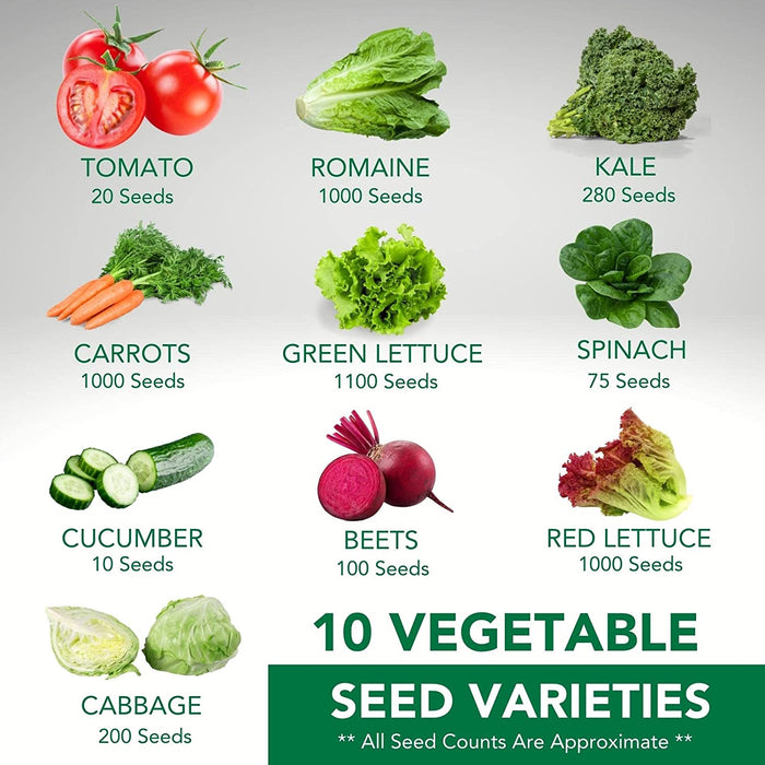 Seasonal vegetable varieties