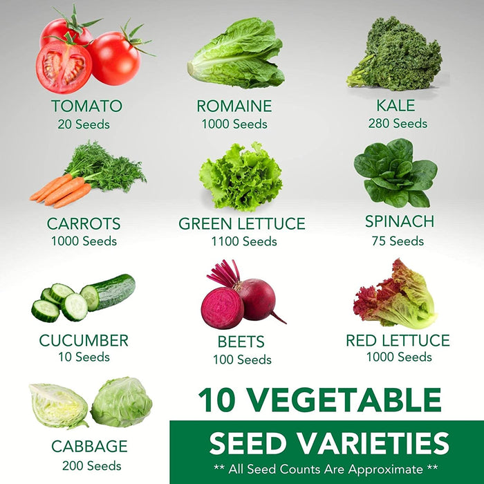 Limitless Growth 10 Vegetable Seed Varieties | Extended Season | 3,000+ Seeds