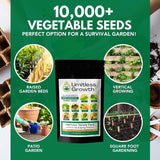 Limitless Growth 10 Vegetable Seed Varieties for Spring & Fall | 10,000+ Seeds