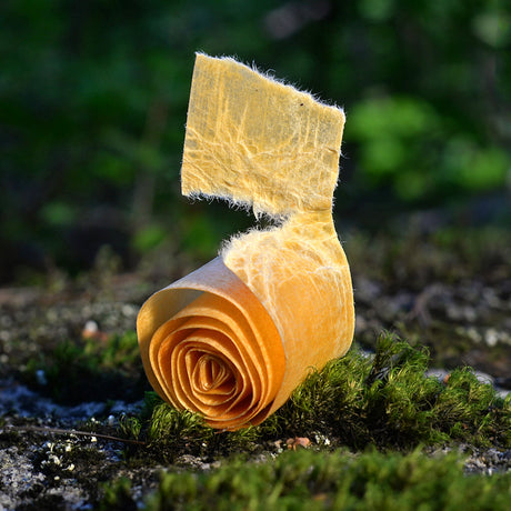 A fire strip roll on some growing moss in the forest.