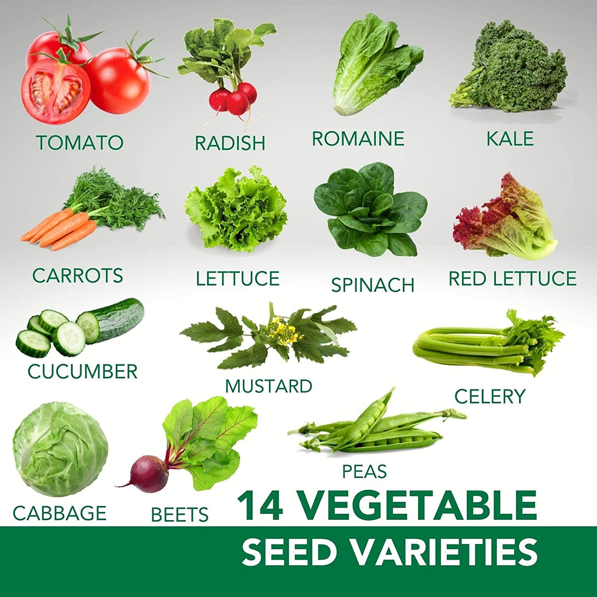 Limitless Growth 22 Vegetable & Herb Seed Varieties Pack | 9,500+ Seeds