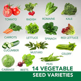 Limitless Growth 22 Vegetable & Herb Seed Varieties Pack | 9,500+ Seeds