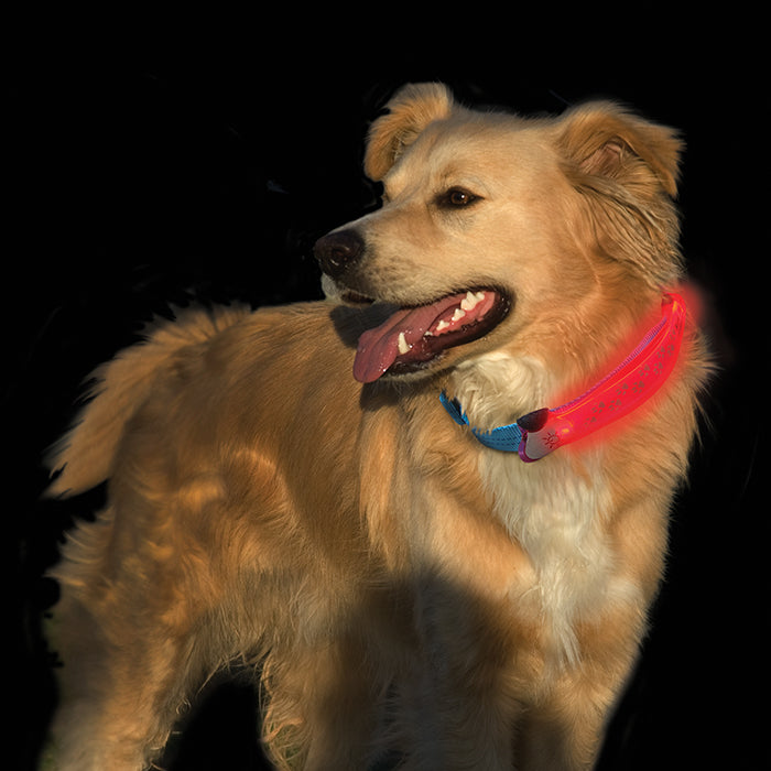 Nite Dawg LED Collar/Cover (GREY)