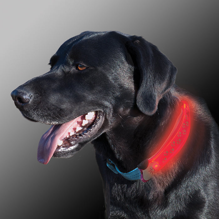 Nite Dawg LED Collar/Cover (GREY)