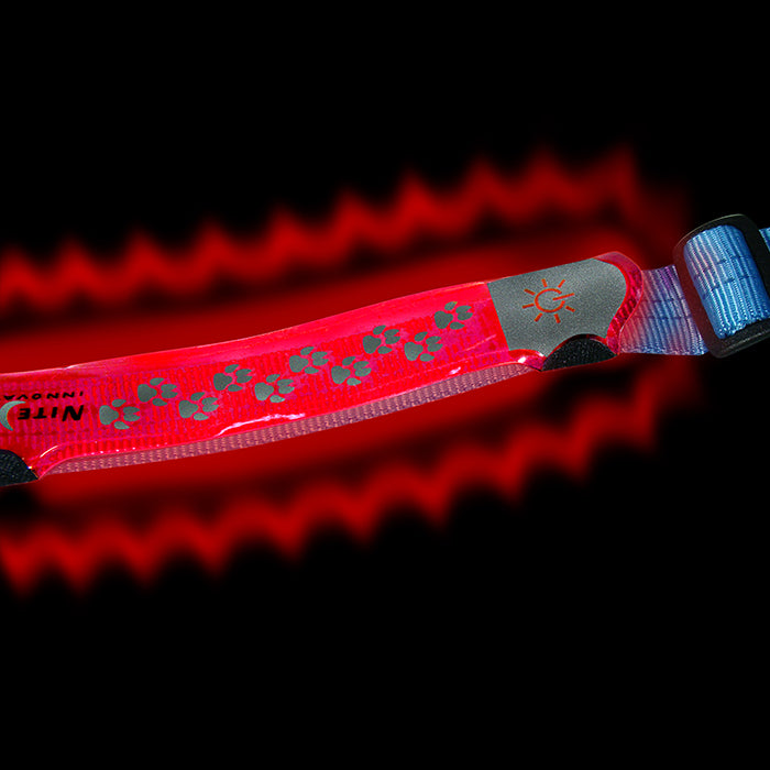 Nite-Ize NiteDawg™ LED Collar Cover