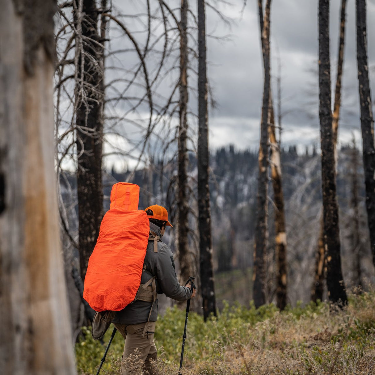 Eberlestock Rain Cover