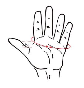 hand size diagram